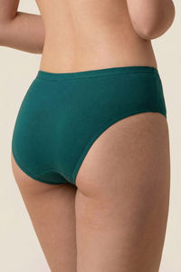 Zivame Low Rise Full Coverage Bikini Panty (Pack of 3) - Multicolor — thumbnail 8
